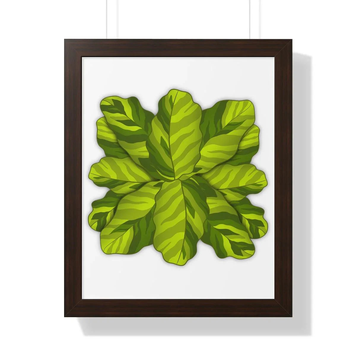Calathea Yellow Fusion Framed Print – Botanical Wall Art