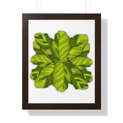 Calathea Yellow Fusion Framed Print – Botanical Wall Art
