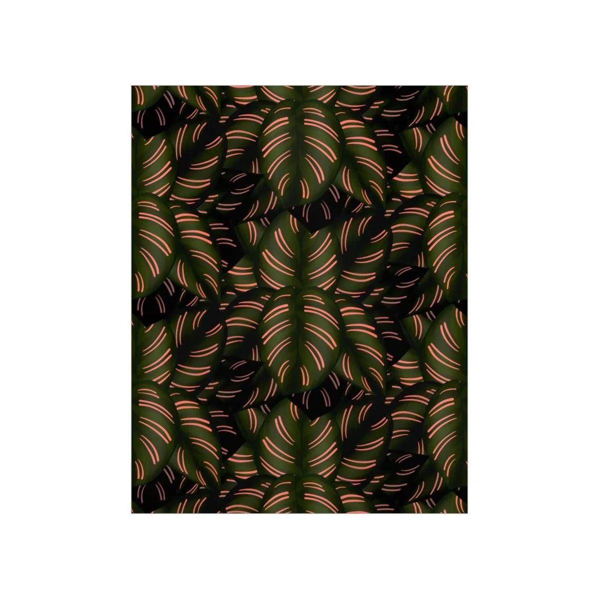 Calathea Pinstripe Botanical Print – Unframed Wall Art