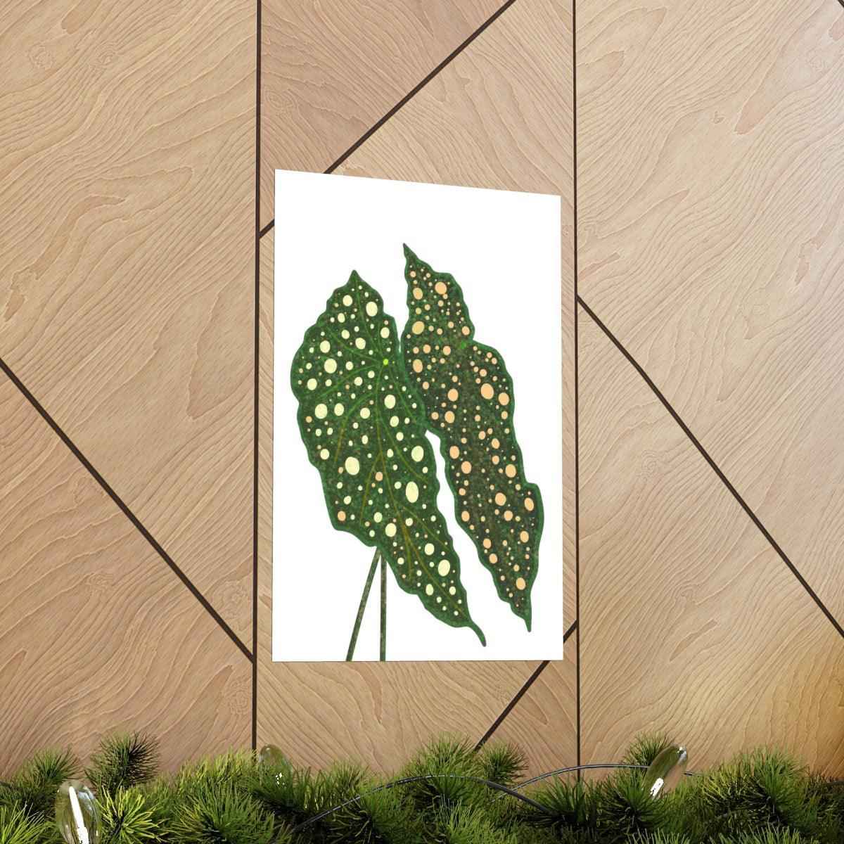 Begonia Maculata Botanical Print – Unframed Wall Art