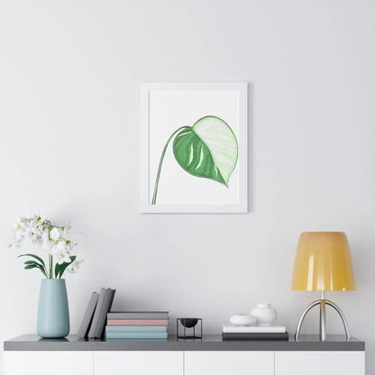 Monstera Albo Illustrated Framed Print – Botanical Wall Art