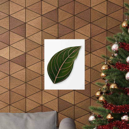 Aglaonema Rotundum Botanical Print – Unframed Wall Art