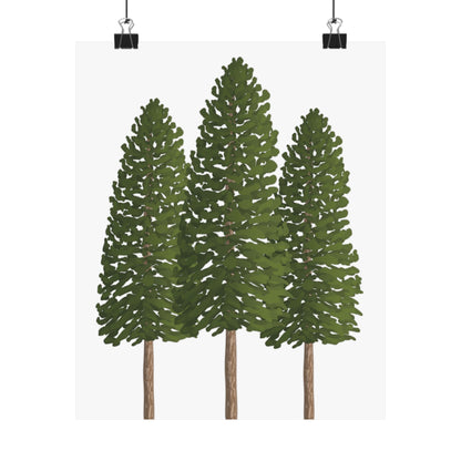 Ponderosa Pine Print – Unframed Wall Art