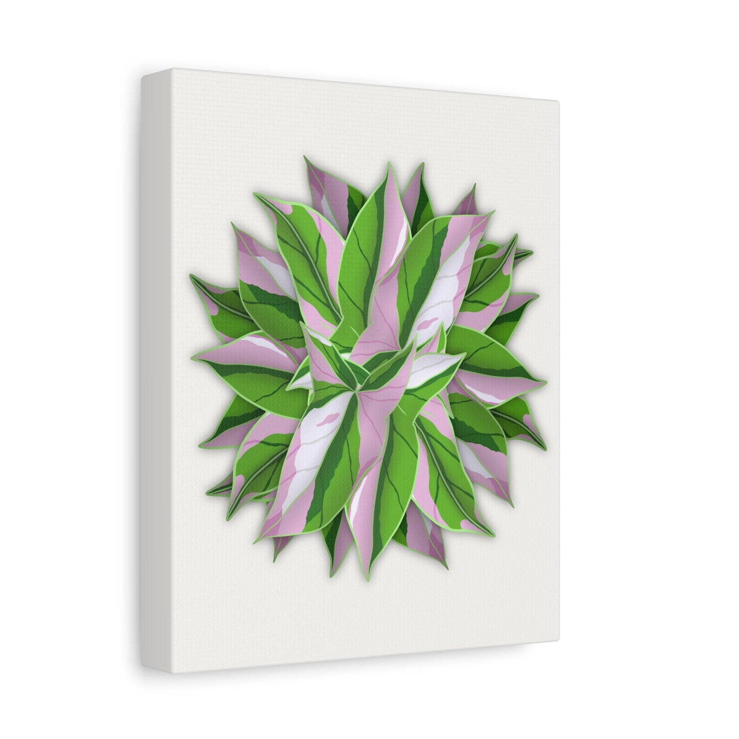 Syngonium Tricolor Pattern Canvas Print – Botanical Wall Art