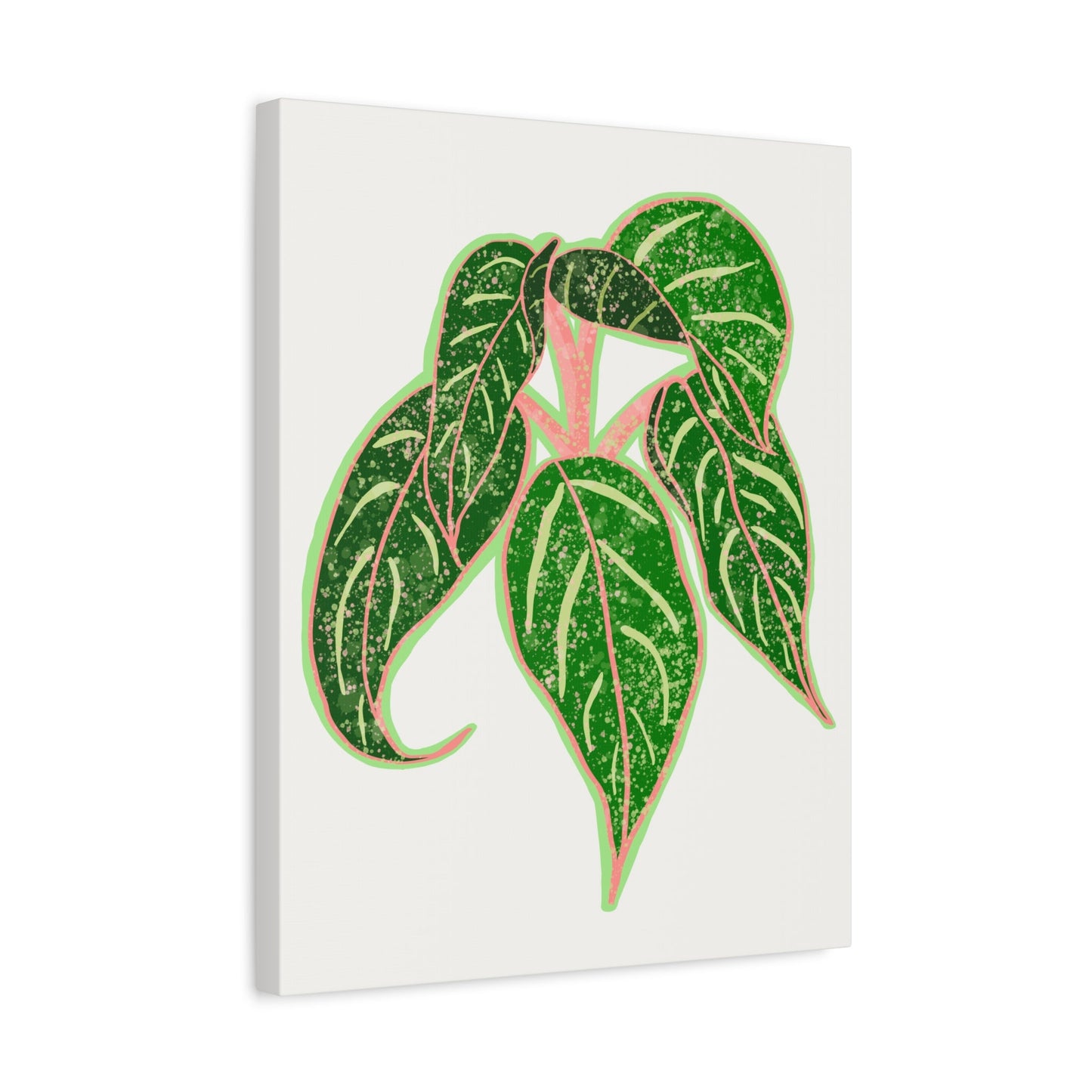 Aglaonema Sparkling Sarah Canvas Print – Botanical Wall Art