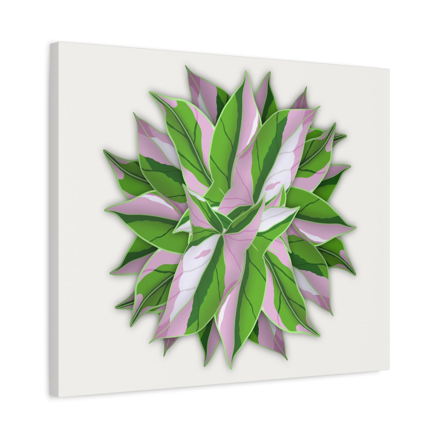 Syngonium Tricolor Pattern Canvas Print – Botanical Wall Art