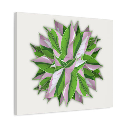 Syngonium Tricolor Pattern Canvas Print – Botanical Wall Art