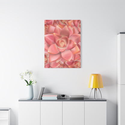 Graptosedum California Sunset Succulent Pattern Canvas Print – Botanical Wall Art