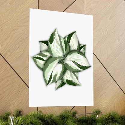 Manjula Pothos Botanical Print – Unframed Wall Art