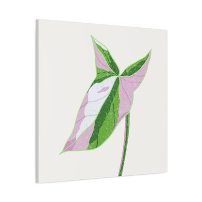 Syngonium Tricolor Canvas Print – Botanical Wall Art