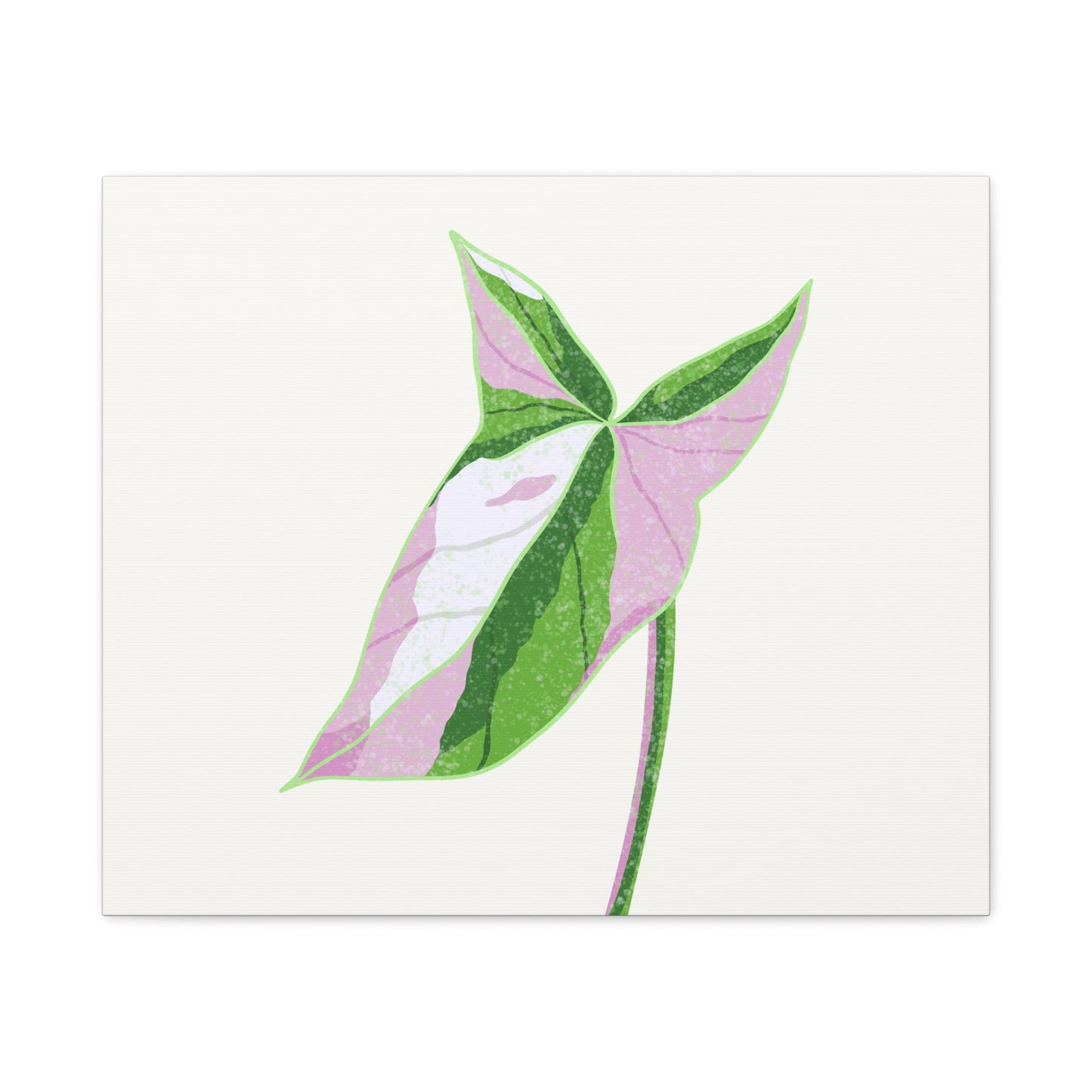 Syngonium Tricolor Canvas Print – Botanical Wall Art