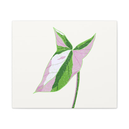Syngonium Tricolor Canvas Print – Botanical Wall Art