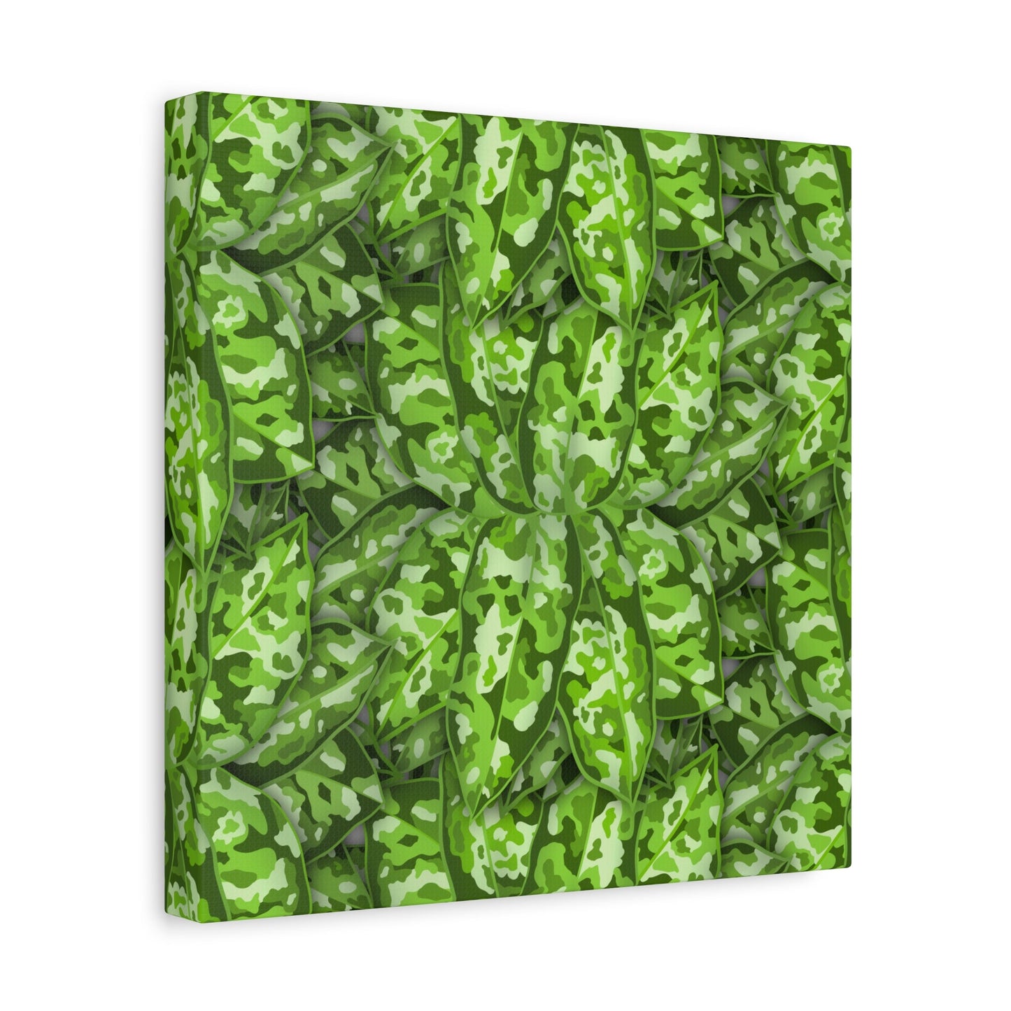 Aglaonema Pictum Canvas Print – Botanical Wall Art