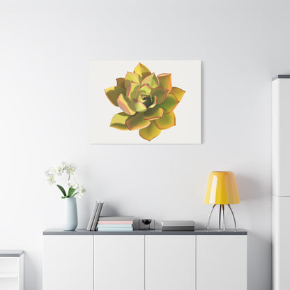 Noble Aeonium Succulent Canvas Print – Botanical Wall Art