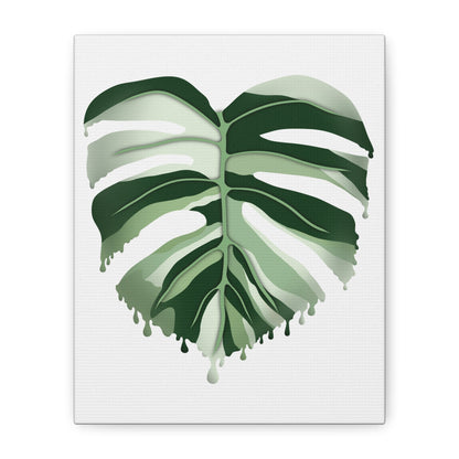 Melting Monstera Albo Canvas Print – Botanical Wall Art