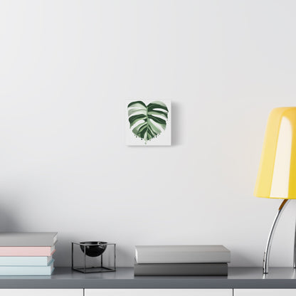 Melting Monstera Albo Canvas Print – Botanical Wall Art