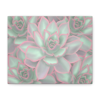 Echeveria Violet Queen Succulent Pattern Canvas Print – Botanical Wall Art