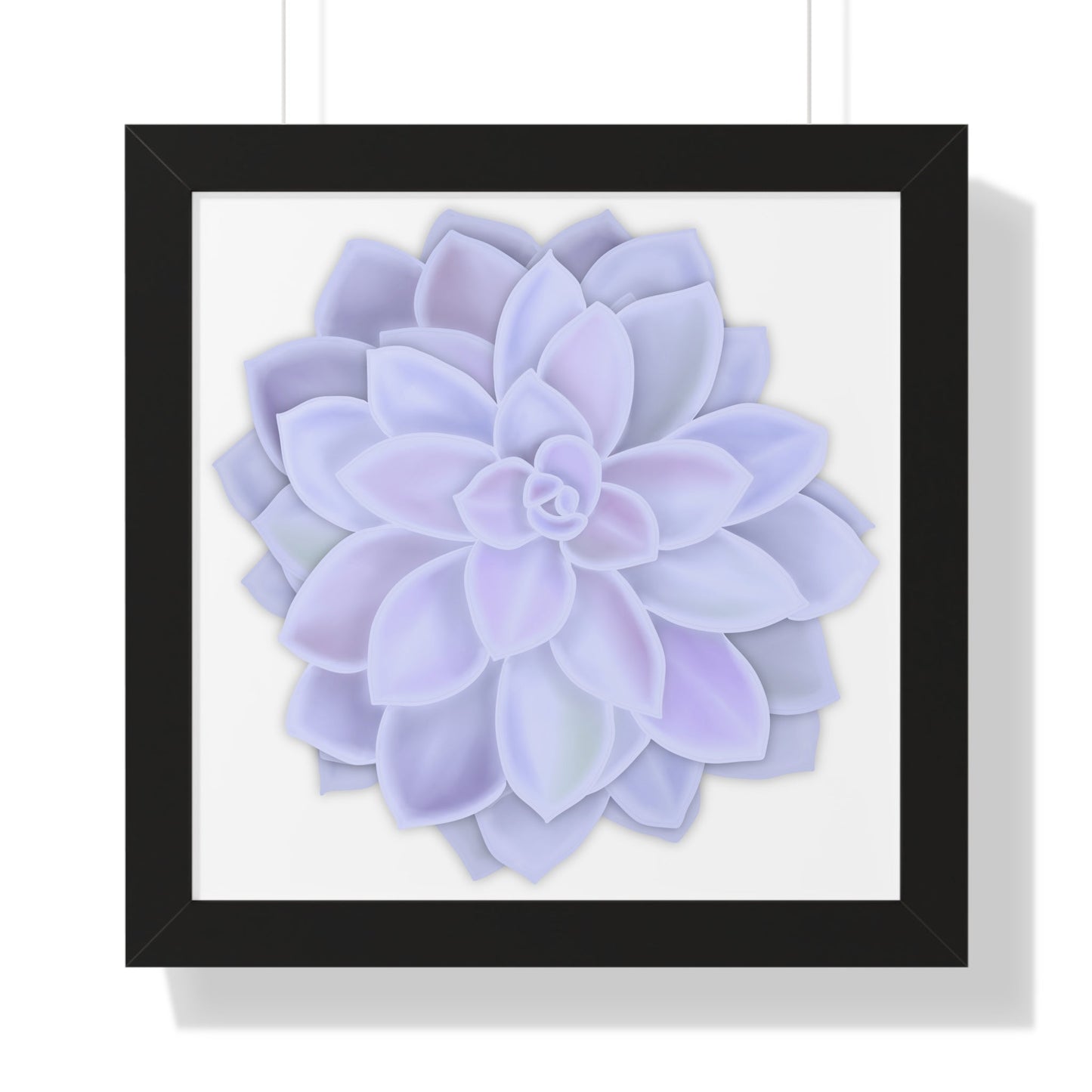 Graptopetalum Murasaki Succulent Framed Print – Botanical Wall Art