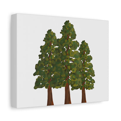 Coastal Redwood Canvas Print – Wall Art