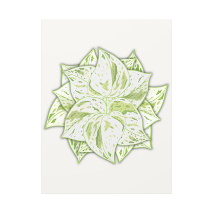Snow Queen Pothos Canvas Print – Botanical Wall Art
