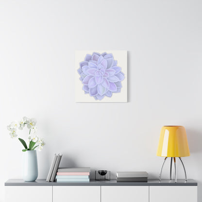 Graptopetalum Murasaki Succulent Canvas Print – Botanical Wall Art