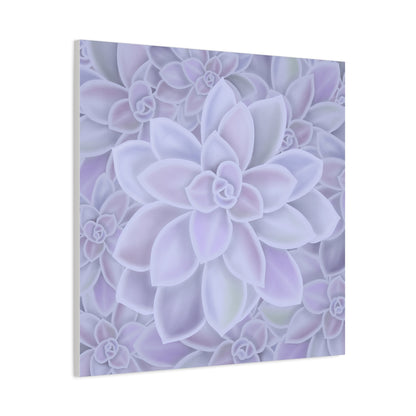 Graptopetalum Murasaki Succulent Pattern Canvas Print – Botanical Wall Art
