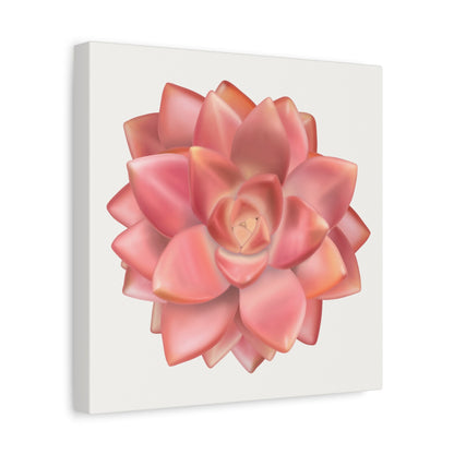 Graptosedum California Sunset Succulent Canvas Print – Botanical Wall Art