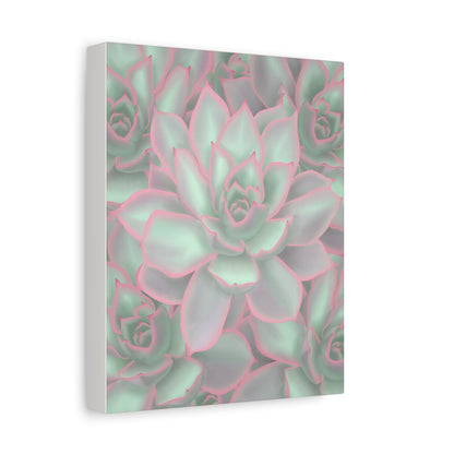 Echeveria Violet Queen Succulent Pattern Canvas Print – Botanical Wall Art
