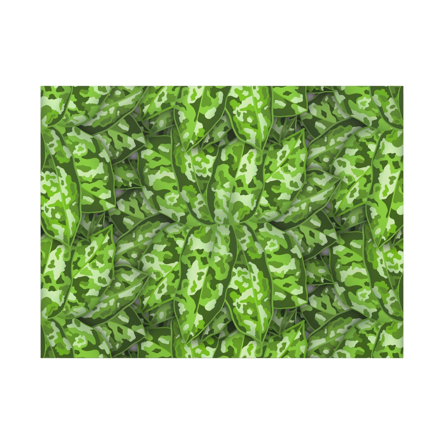 Aglaonema Pictum Canvas Print – Botanical Wall Art