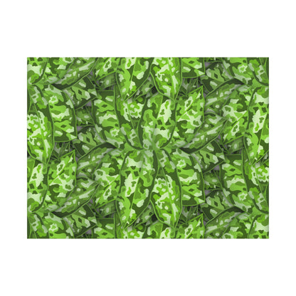 Aglaonema Pictum Canvas Print – Botanical Wall Art