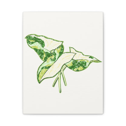 Marble Syngonium Canvas Print – Botanical Wall Art