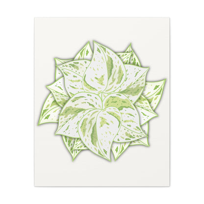 Snow Queen Pothos Canvas Print – Botanical Wall Art