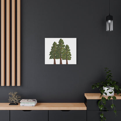 Coastal Redwood Canvas Print – Wall Art