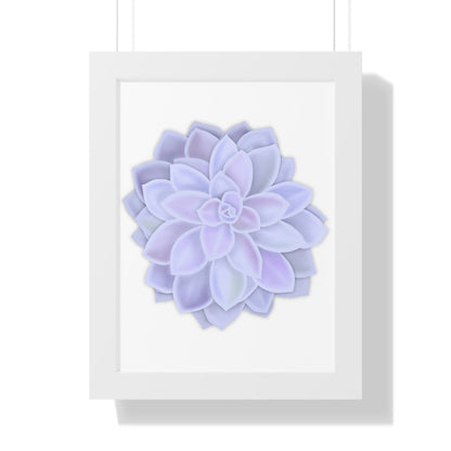 Graptopetalum Murasaki Succulent Framed Print – Botanical Wall Art