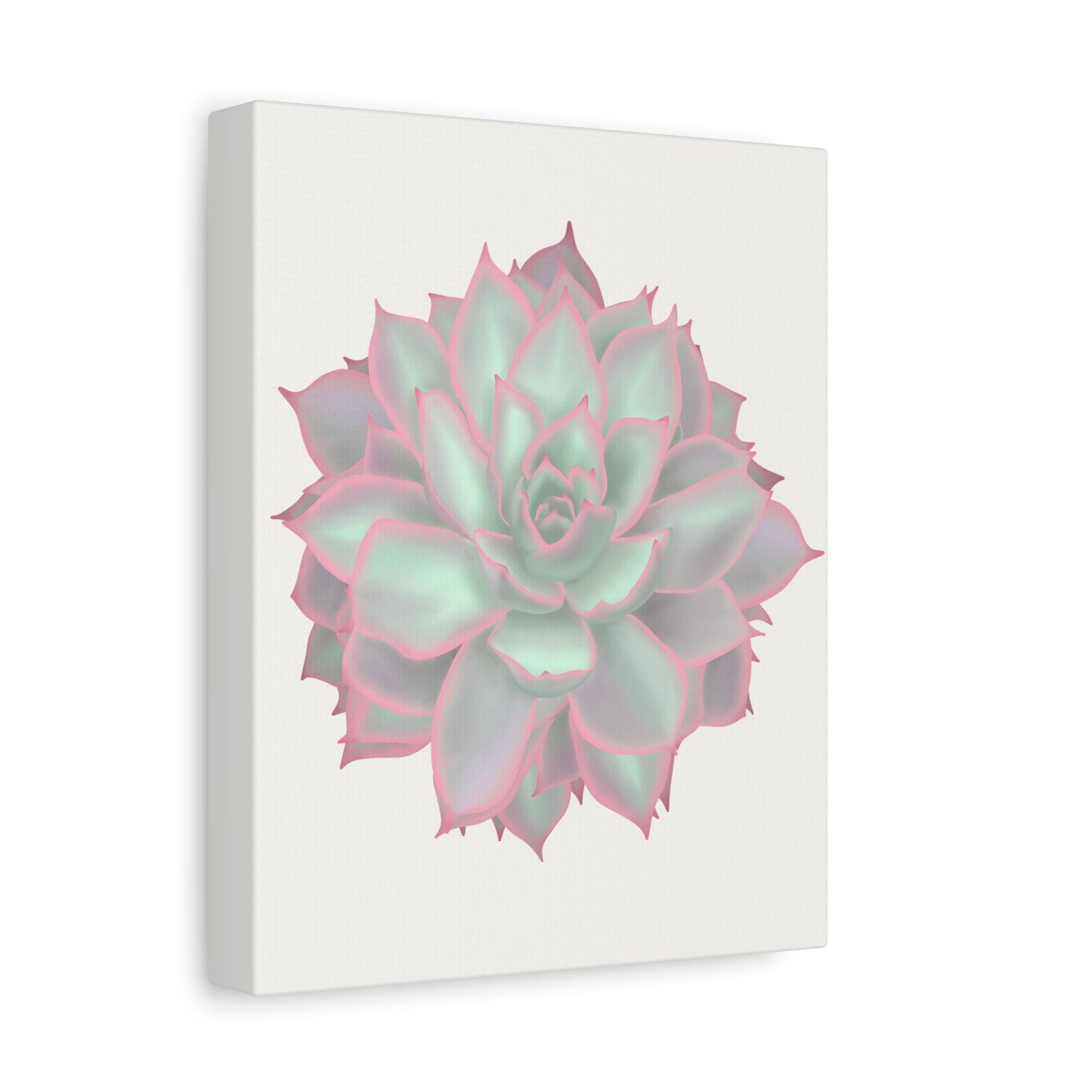Echeveria Violet Queen Succulent Canvas Print – Botanical Wall Art