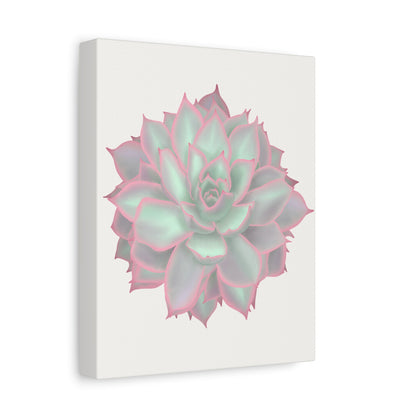 Echeveria Violet Queen Succulent Canvas Print – Botanical Wall Art