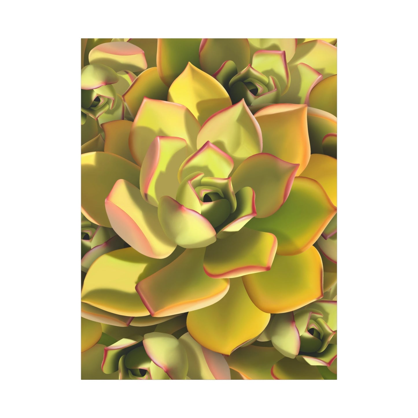 Noble Aeonium Succulent Pattern Canvas Print – Botanical Wall Art