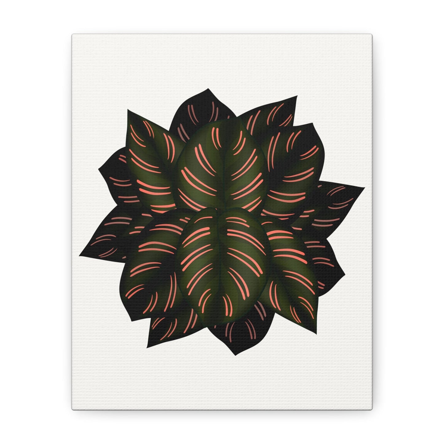 Calathea Pinstripe Canvas Print – Botanical Wall Art