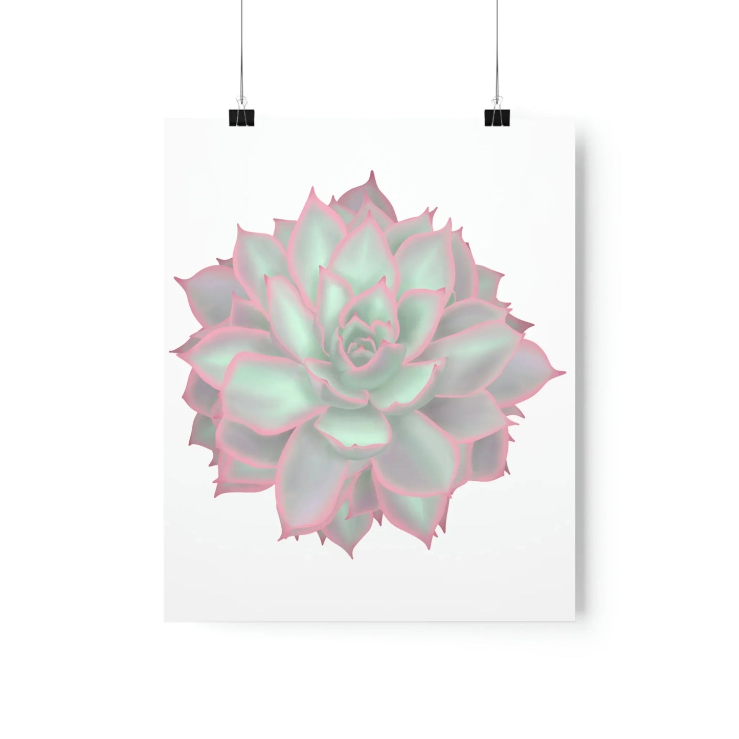 Echeveria Violet Queen Succulent Botanical Print – Unframed Wall Art