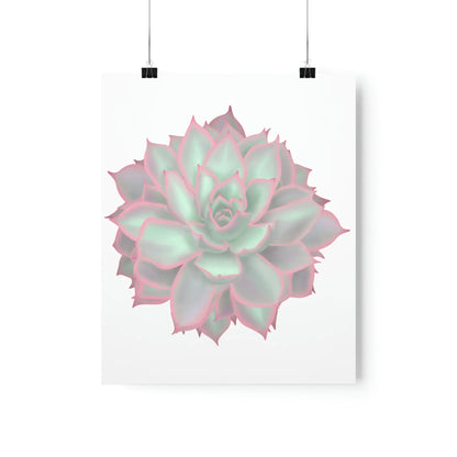 Echeveria Violet Queen Succulent Botanical Print – Unframed Wall Art
