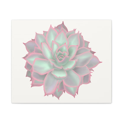 Echeveria Violet Queen Succulent Canvas Print – Botanical Wall Art