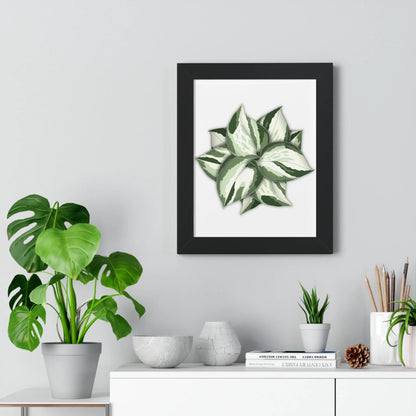 Manjula Pothos Framed Print – Botanical Wall Art