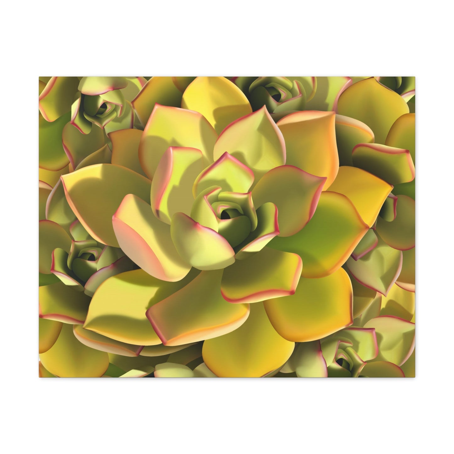 Noble Aeonium Succulent Pattern Canvas Print – Botanical Wall Art