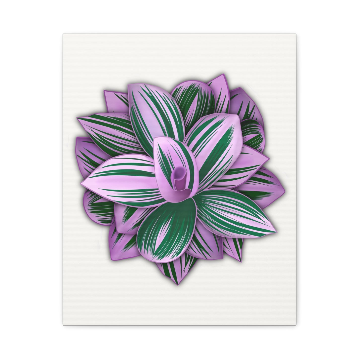 Tradescantia Nanouk Canvas Print – Botanical Wall Art