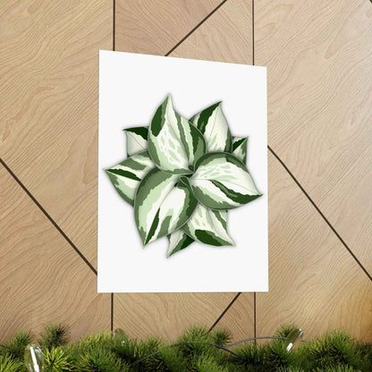 Manjula Pothos Botanical Print – Unframed Wall Art