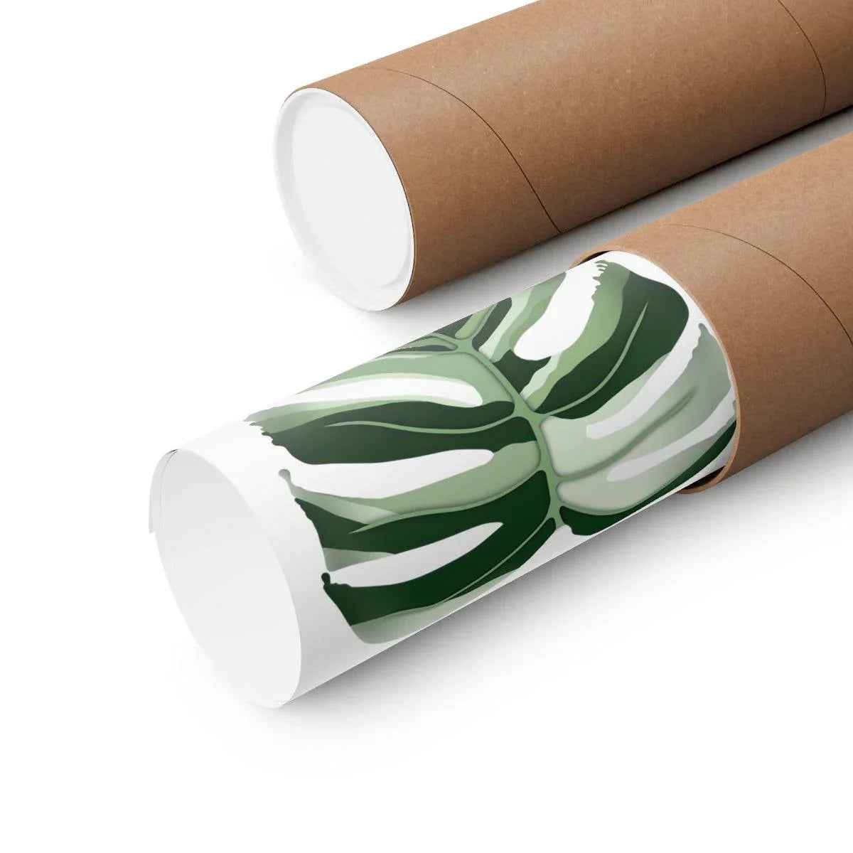 Melting Monstera Albo Botanical Print – Unframed Wall Art