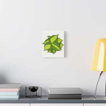 Philodendron Brasil Canvas Print – Botanical Wall Art