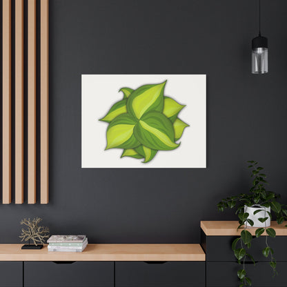 Philodendron Brasil Canvas Print – Botanical Wall Art