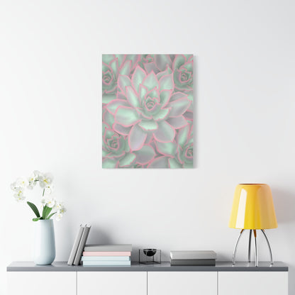 Echeveria Violet Queen Succulent Pattern Canvas Print – Botanical Wall Art