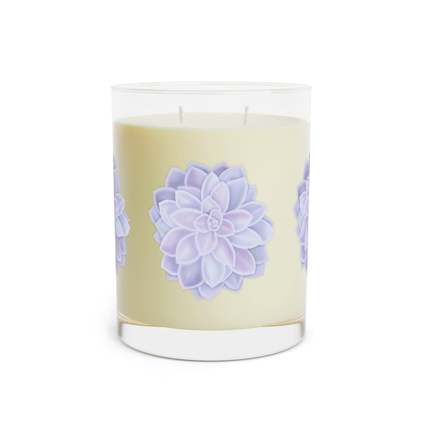 Graptopetalum Murasaki Succulent Soy Candle 11 oz – Three Scent Options